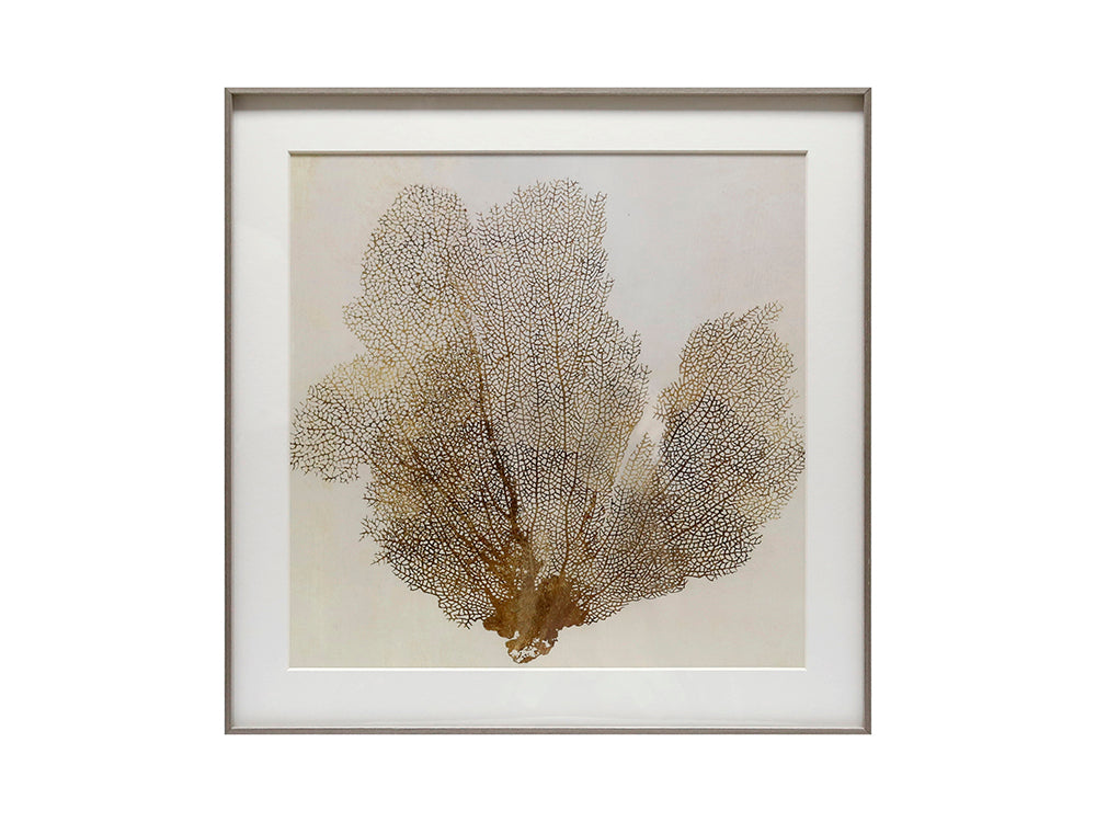 Natural Sea Fan I