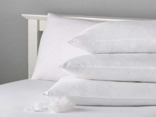 Anti Allergy Standard Pillow