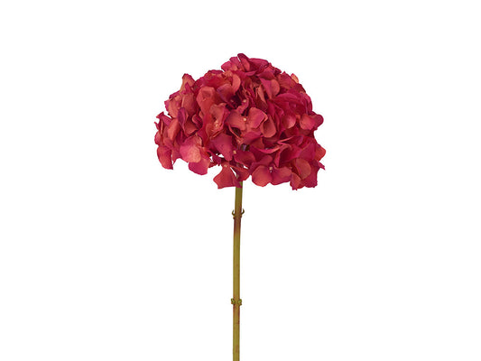 Hydrangea Stem, Red