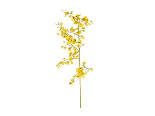 Dancing Oncidium Stem, Yellow