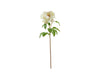 Peony Stem, White Fresh Touch