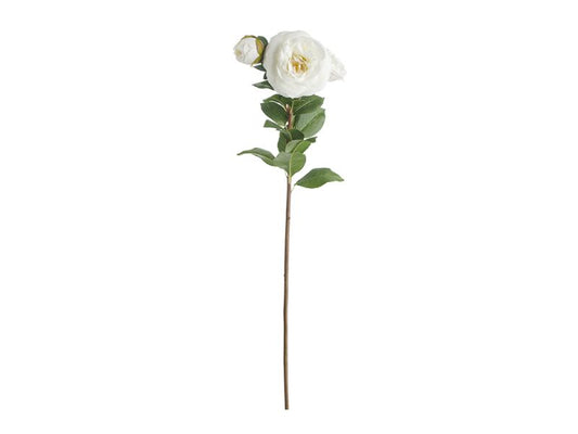 Camellia X3 Blooms Stem, White