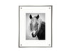 Horse Art Print