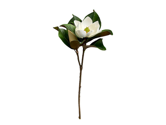 Magnolia Stem, White