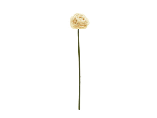 Ranunculus Stem, Cream