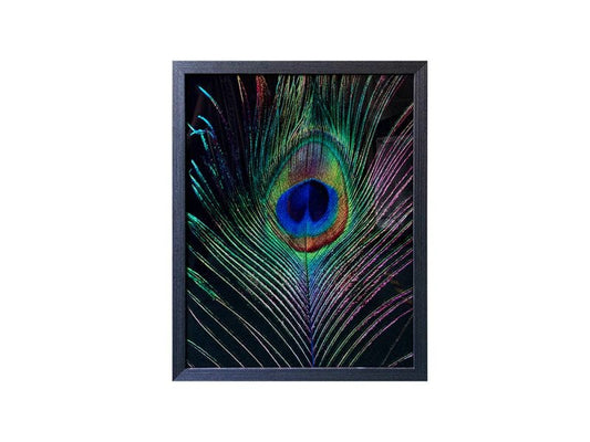 The Peacock Eye