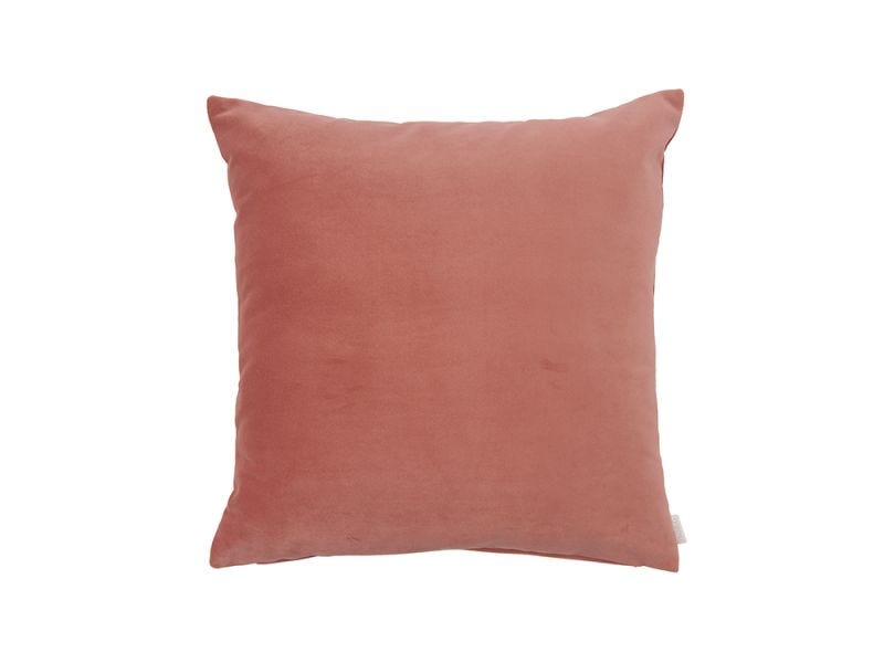 Rose Velvet Cushion Cover, 50x50cm