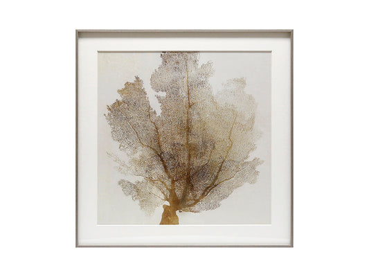 Natural Sea Fan II