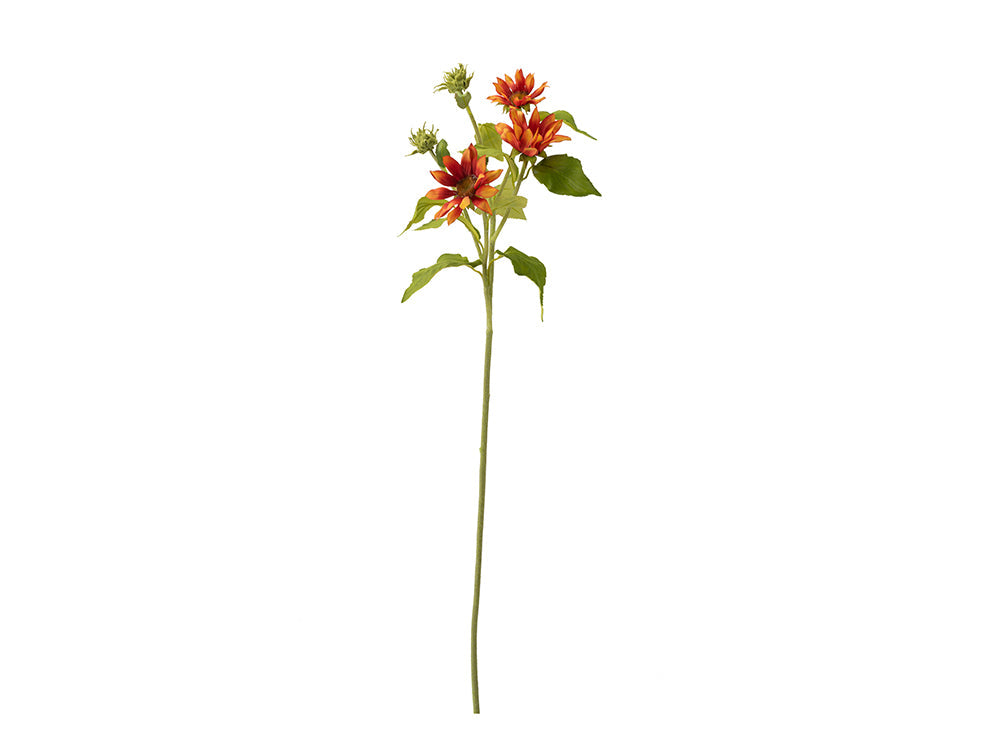 Sunflower Stem, Orange