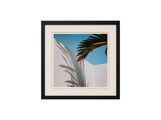 Palms Shadow
