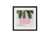 Palms Moment