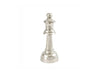 Queen Chess Player