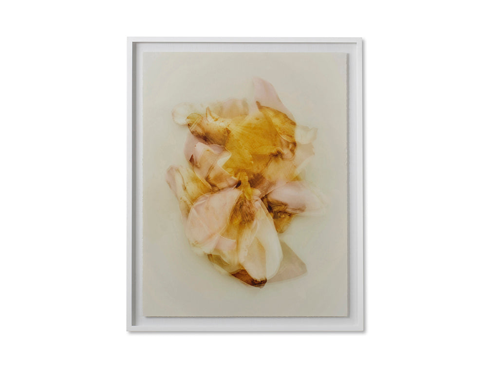 Reagan Hayes Floral Wall Art,A