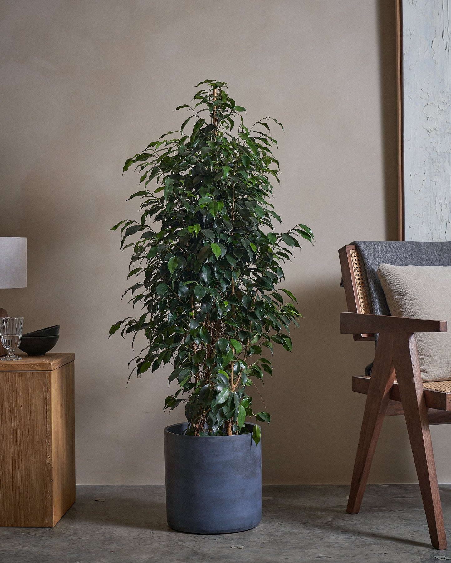 TD Tree 130cm C Pot T Blu