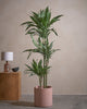 WHI-S Tree 150cm C Pot Ro Pnk